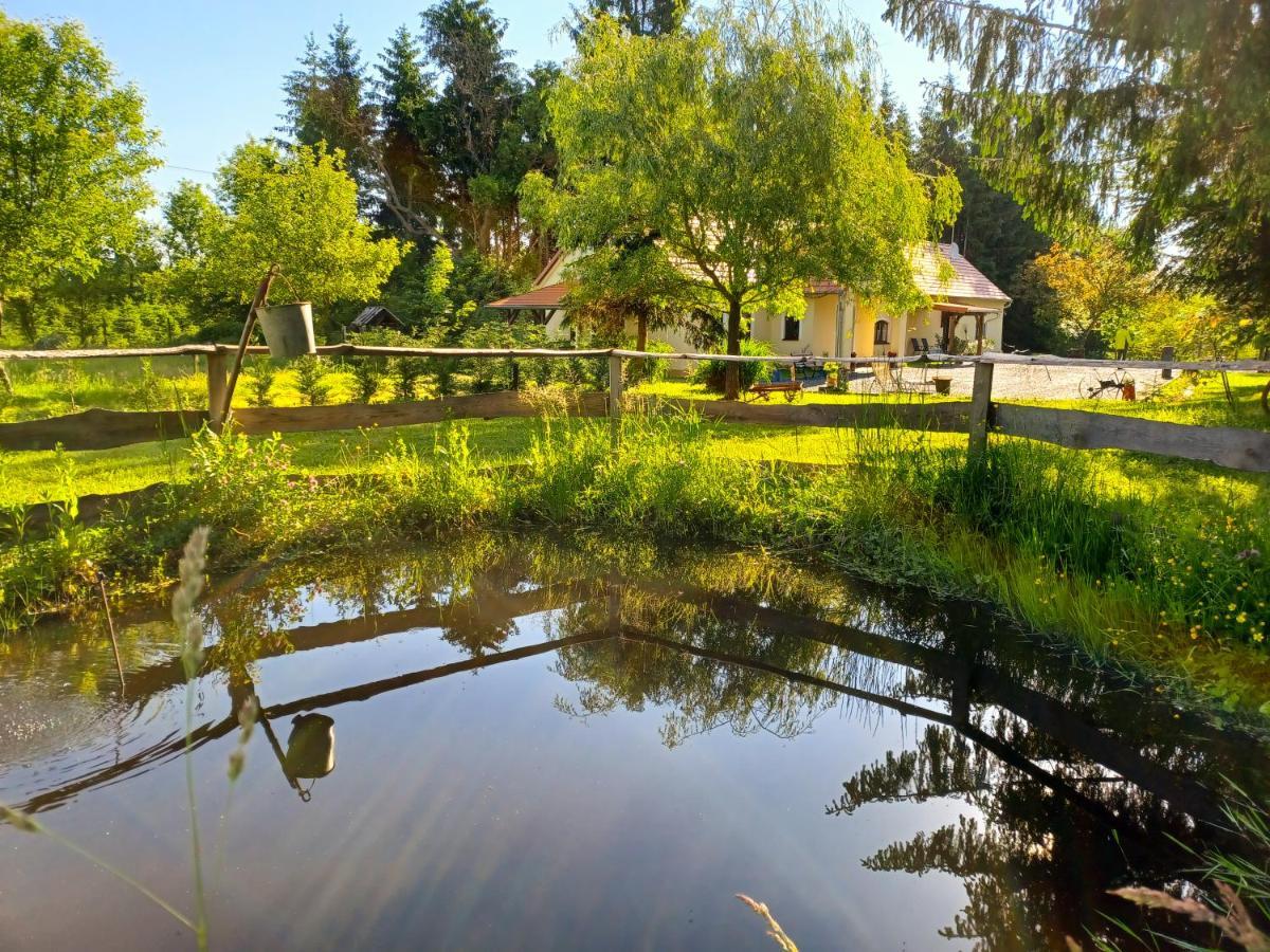 Apartment Orsegi Katicas Vendeghaz Viszak