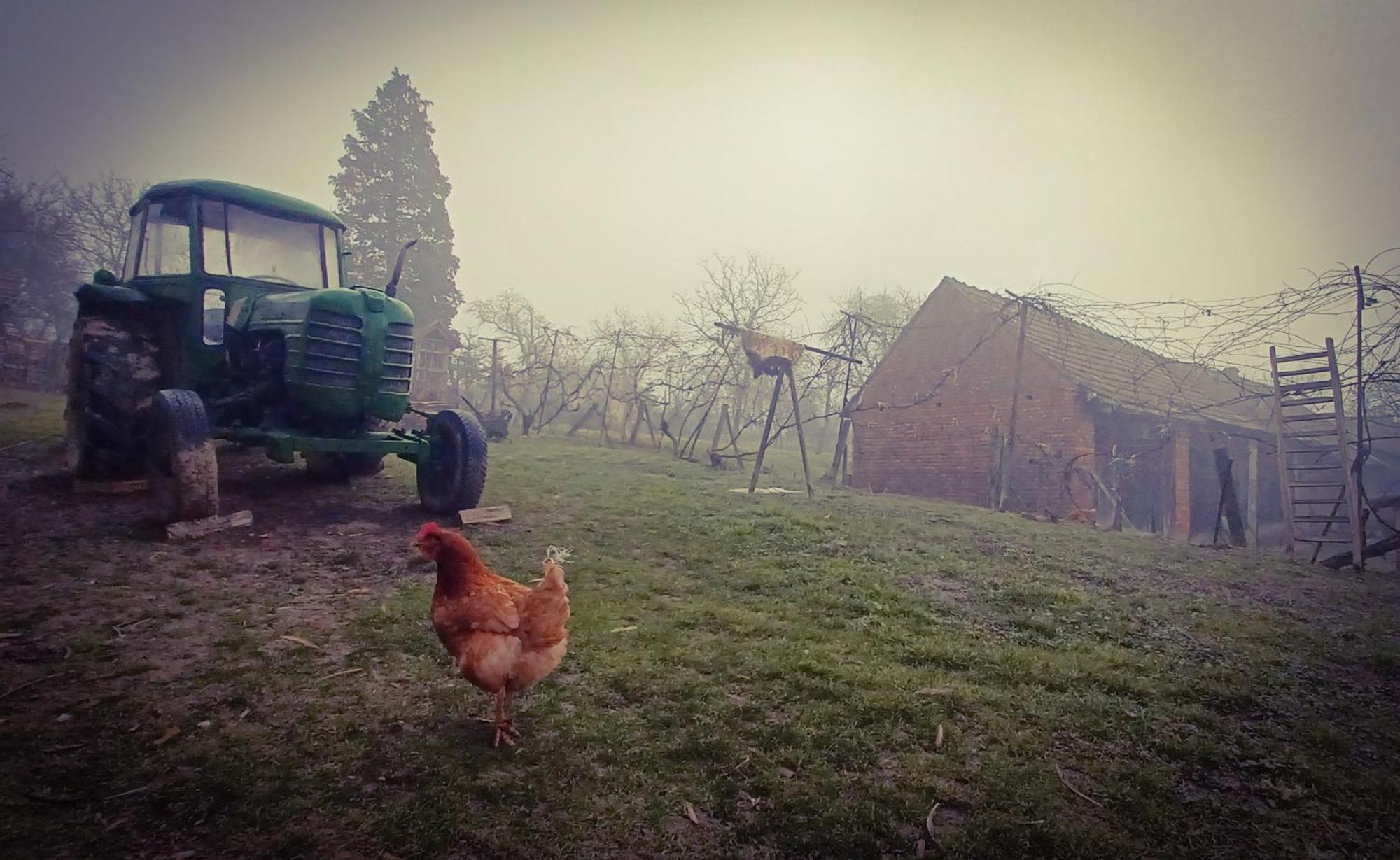 Orsegi Katicas Vendeghaz * Viszak