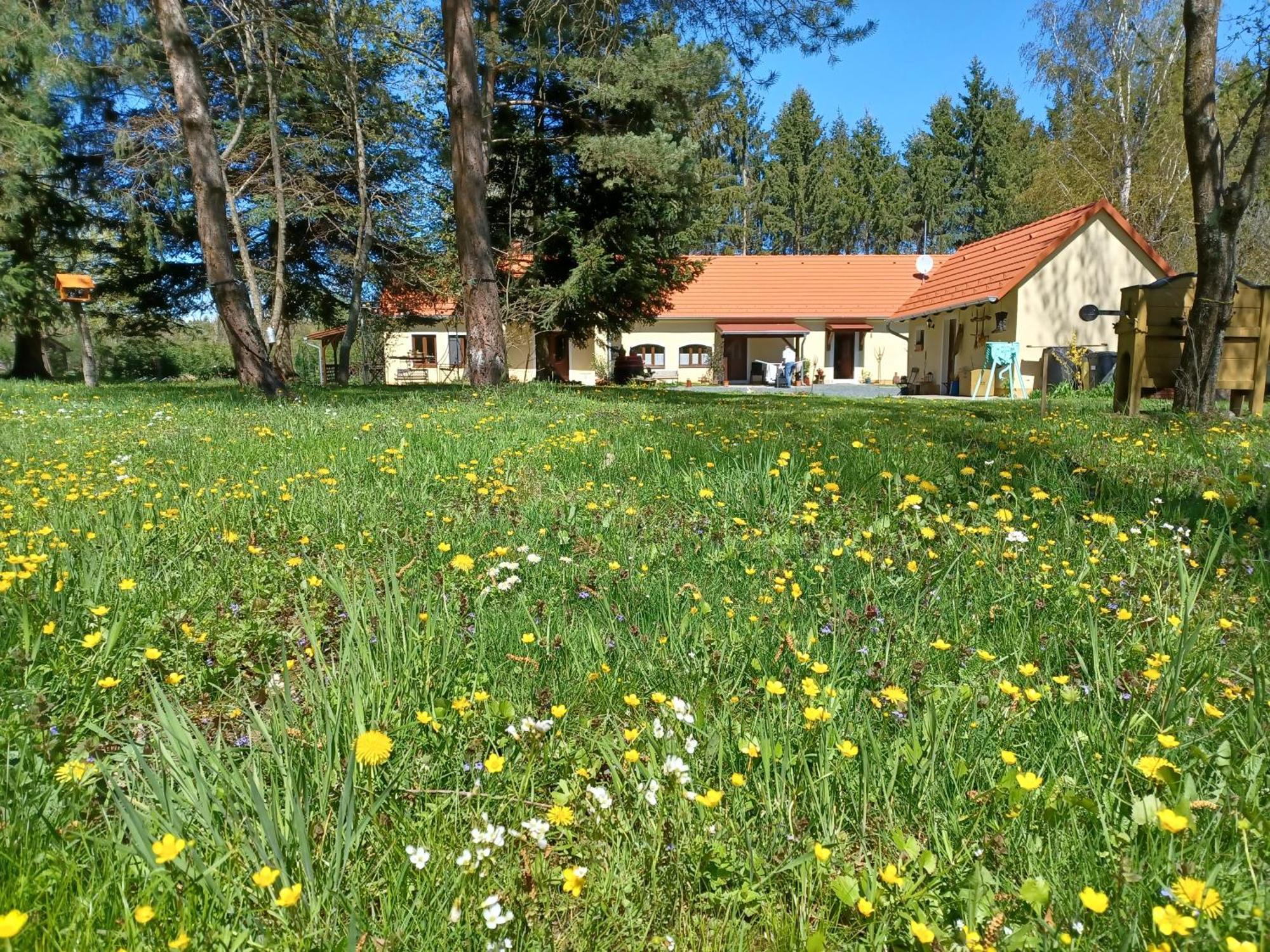 Apartment Orsegi Katicas Vendeghaz